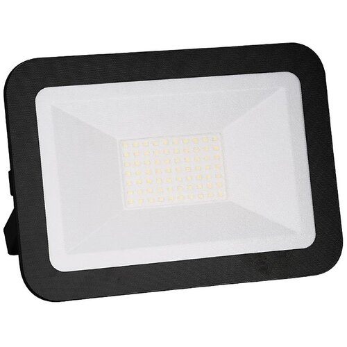  LED reflektor 50W/230V IP65 Cene