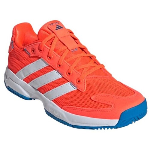 Adidas Nizke superge Stabil pisana Cene