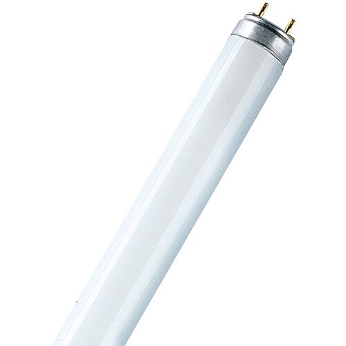 Osram Fluorescenčna sijalka Fluora (T8, nevtralno bela, 36 W, dolžina: 120 cm) Slike