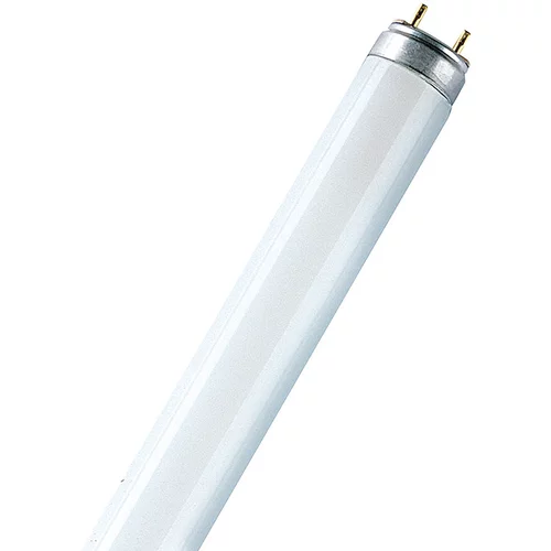 Osram Fluorescenčna sijalka Fluora (T8, nevtralno bela, 36 W, dolžina: 120 cm)