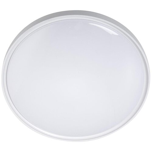  LED stropno svetlo 36W/230V, prečnika 40 cm, belo Cene