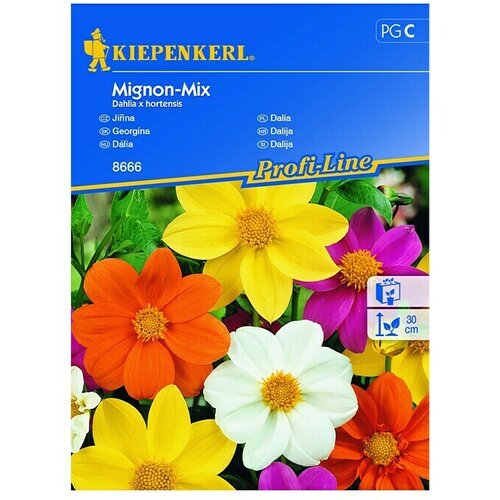KIEPENKERL Profi-Line Sjeme cvijeća Dalija Mignon-Mix (Dahlia x hortensis, Raznobojno) Cijene