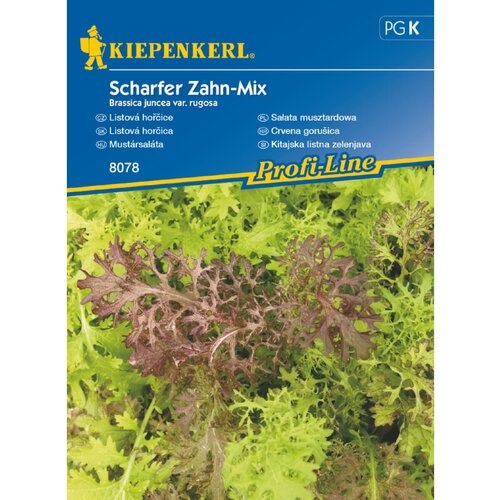 KIEPENKERL Sjeme povrća azijska salata (Brassica juncea var. rugosa, Vrijeme sjetve: Cjelogodišnje, Berba: Cjelogodišnje) Cijene