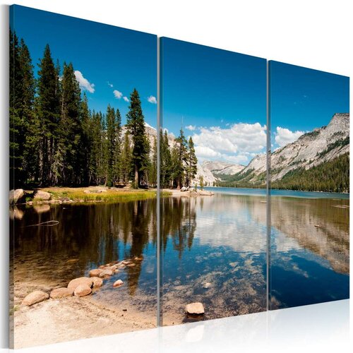  Slika - Mountains trees and pure lake 120x80 Slike