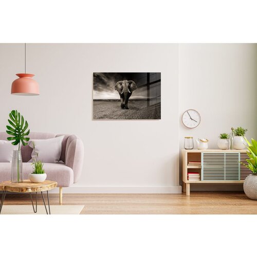 WALLXPERT Dekorativna slika od kaljenog stakla 30 x 45 cm - Vi&scaron;ebojna Cene