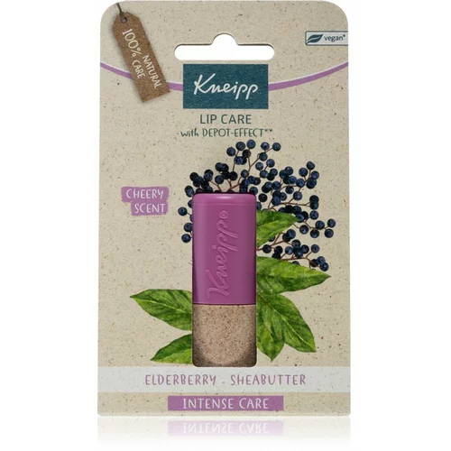 Kneipp lip care elderberry balm balzam za suhe in razpokane ustnice 4,7 g