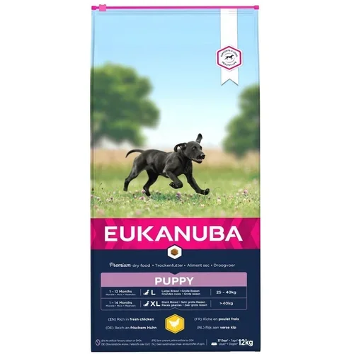 Eukanuba Puppy Lage breed 3kg