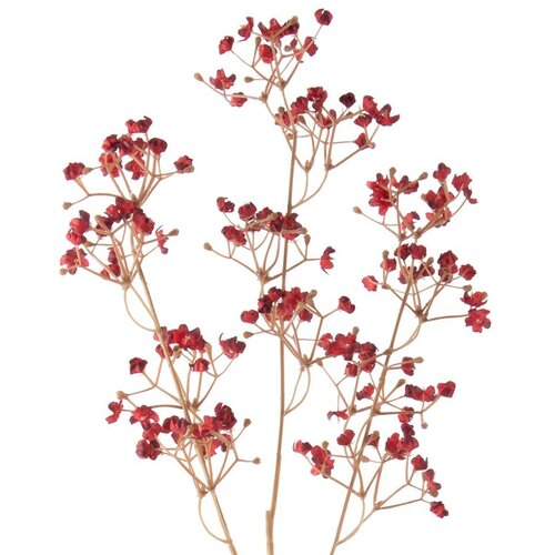 PT LIVING Umetna rastlina (vi&amp;scaron;ina 59 cm) Babybreath &amp;ndash; Slike