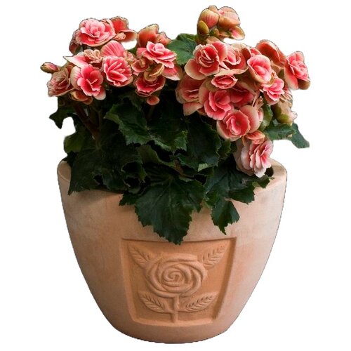  Terakota tegla FI 28 X H 20 cm PLANTER Cene