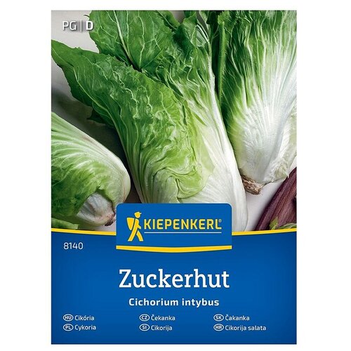 KIEPENKERL Zelenjavna semena Radič Zuckerhut (Cichorium intybus, Čas žetve: September) Cene