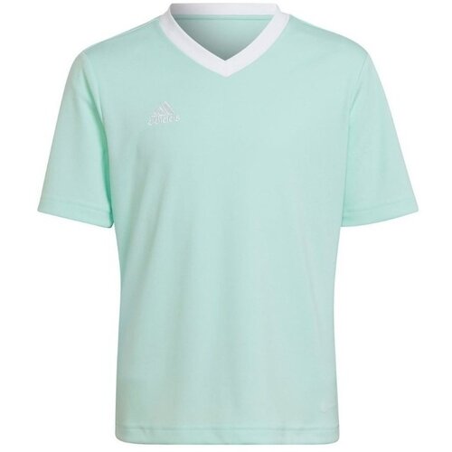 Adidas Entrada 22 sarena Slike