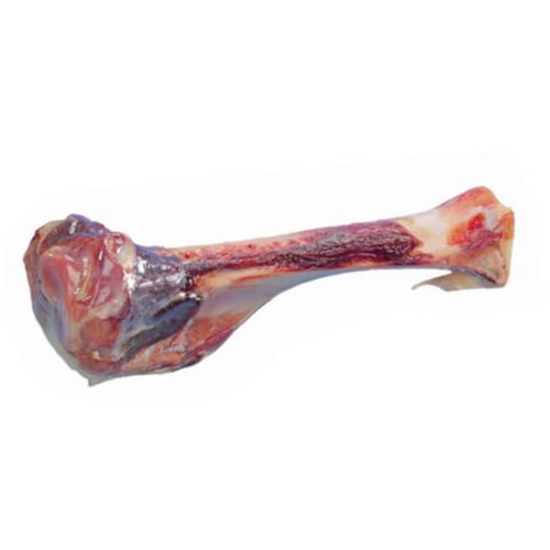 Nobby naravna kost medium - cca 17 cm Cene