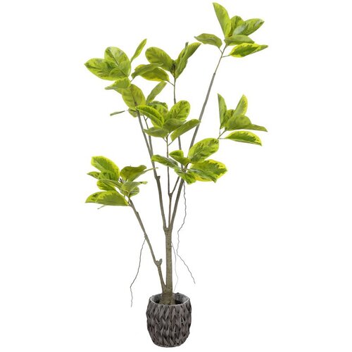  Umjetni fikus 180 cm Cene