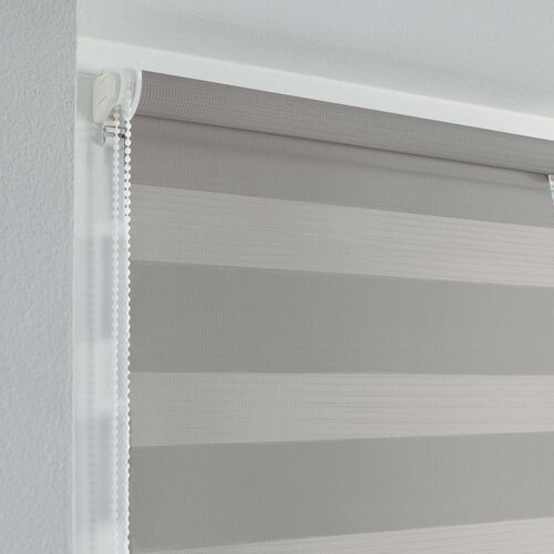 Douceur d int&amp;eacute;rieur Svjetlo smeđe tekstilne rolete 60x90 cm Daynight &amp;ndash; Slike