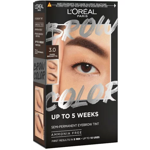 Loreal L'Oréal Paris - Polutrajna boja za obrve - Brow Color Semi-Permanent Eyebrow Tint - 3.0 Dark Brunette