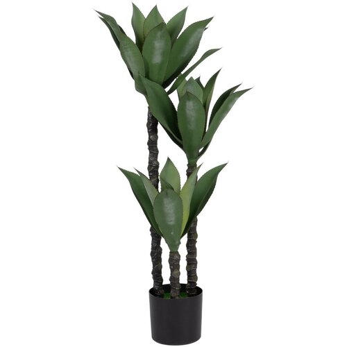 Ixia umjetna biljka (visina 120 cm) Agave &amp;ndash; Slike