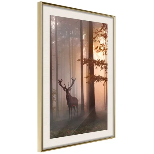  Poster - Forest Seclusion 30x45