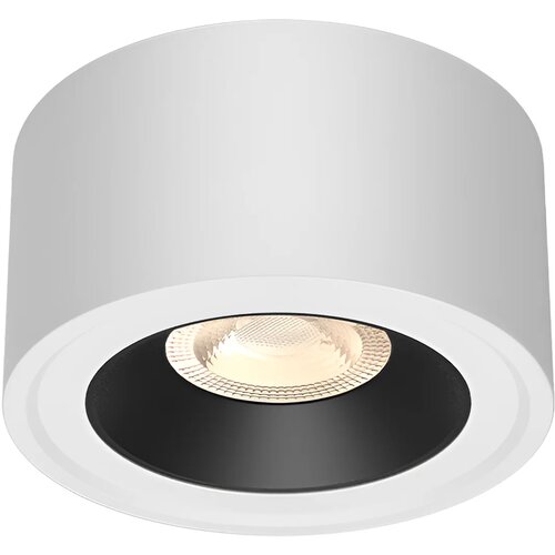 Braytron Nadgradni Spot Okrugli Jednostruki 10W Beli/Crni CCT BH04-00040 Cene