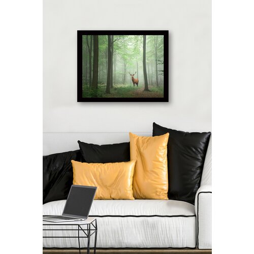 Opviq slika 41x56cm Slike