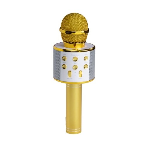 Denver Mikrofon KMS-20GOMK2 Bluetooth ZLATNI Cene