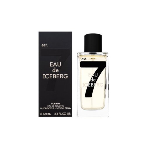 Iceberg Eau de Pour Homme toaletna voda 100 ml za mo&amp;scaron;ke Slike