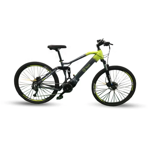 X-plorer E-bike MTB MONTBLANC 29" R18"