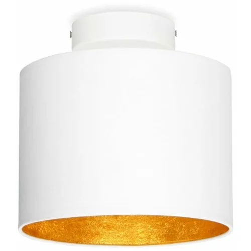 Sotto Luce Bela stropna svetilka z detajli v zlati barvi MIKA Elementary XS, ø 20 cm