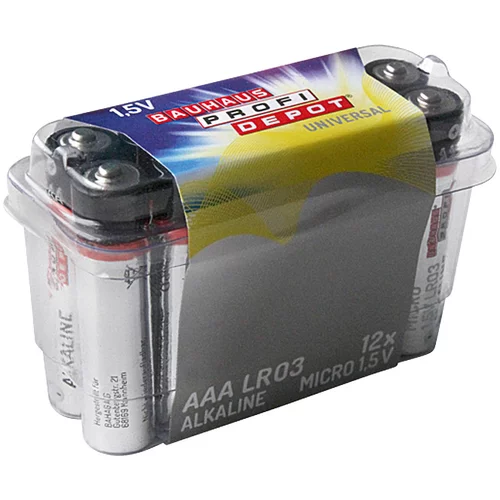 PROFI DEPOT Baterija Profi Depot (Micro AAA, alkalno-manganova, 1,5 V, 12 kosov)