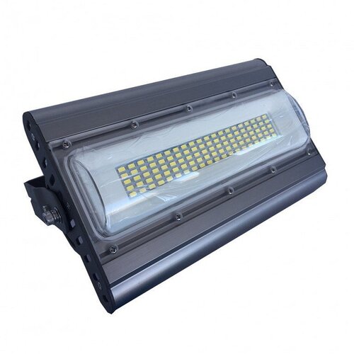 Brilight led reflektor 50W cw hladno beli IP65 Cene