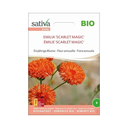 Sativa Bio enoletna roža "Emilia 'Scarlet Magic'"