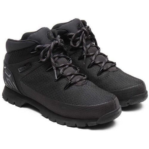 Timberland - Sportske muške cipele - Cene