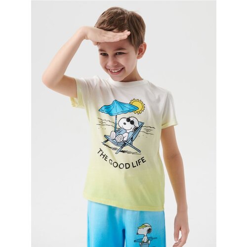 Sinsay Majica kratkih rukava Peanuts Cijene