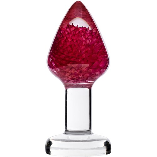 LOVISS Gomphrena Globosa Garden Flower Butt Plug Transparent Cijene
