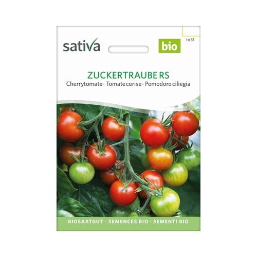 Sativa Če&amp;scaron;njev paradižnik, Zuckertraube Slike