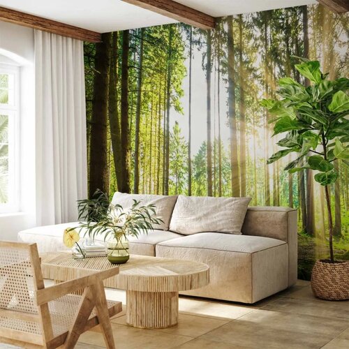  Foto tapeta - Forest Tales 147x105 Samoljepljiva Cijene