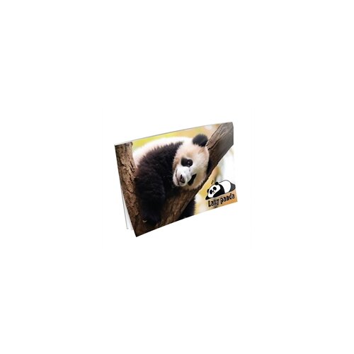 Blok za crtanje A3, 20 listova, Panda Slike