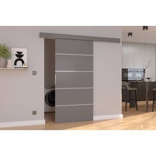 ADRK Klizna zidna vrata BIELLA od laminirane ploe 76 cm - SIVA Slike