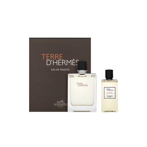 Hermès Terre D'Hermes darilni komplet za mo&scaron;ke Set I. 100 ml Cene