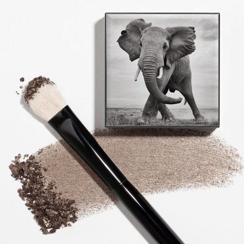Chantecaille Shade and Sweep Eye Brush plo&amp;scaron;čat čopič za senčila za oči 1 kos Slike