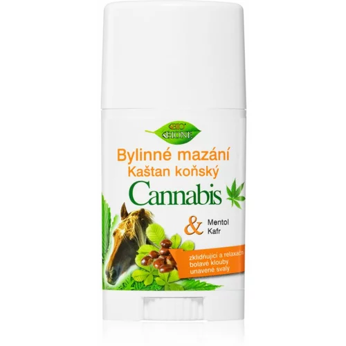 Bione Cosmetics Cannabis + Horse Chestnut konopljina mast u sticku 45 ml