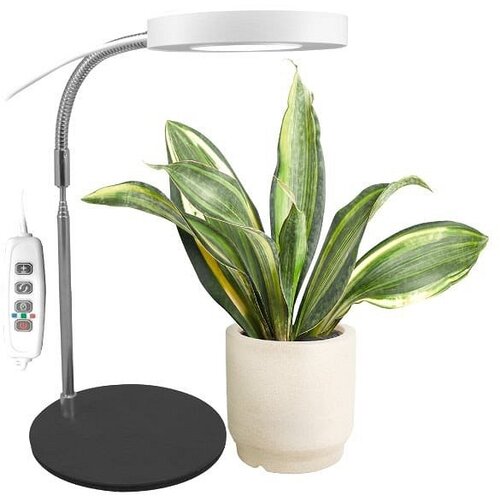 Prosto LAMPA ZA BILJKE Jednostruka prsten R+B+Y 8W USB Cene