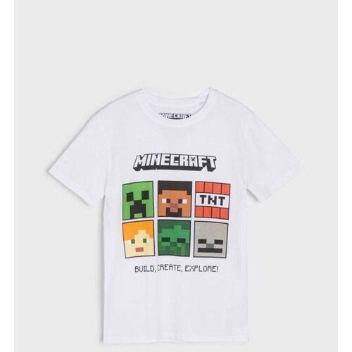 Sinsay Majica kratkih rukava Minecraft Cijene