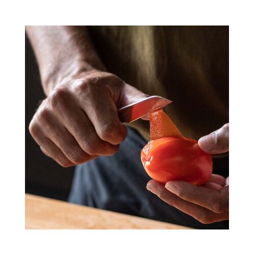 Fiskars 1062889 All Steel majhen nož za lupljenje Cene