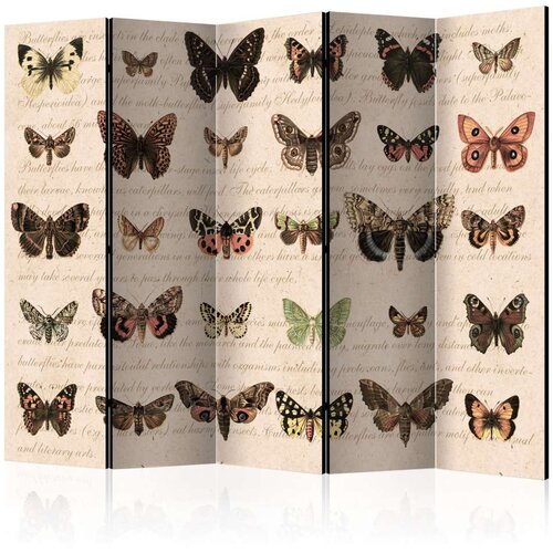  Paravan u 5 dijelova - Retro Style: Butterflies II [Room Dividers] 225x172 Slike