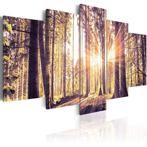  Slika - Morning Idyll 100x50 Cijene