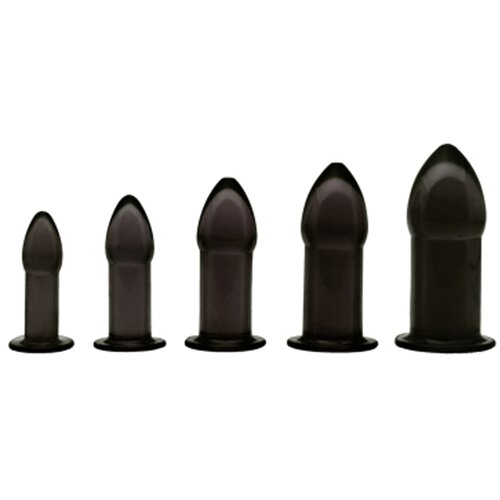 Master Series 5 delni set analnih čepov Anal Trainer Cene