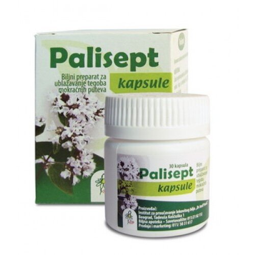 Institut Josif Pančič palisept 30 kapsula Slike
