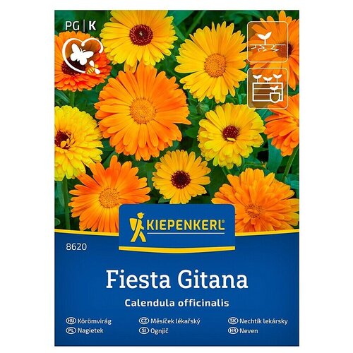 KIEPENKERL Cvetlična semena Ognjič Fiesta Gitana (Calendula officinalis, Oranžna, rumena) Cene