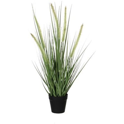 MICA PASJA TRAVA ZELENA V PLASTIČNEM LONCU D10CM - H53CM Cene