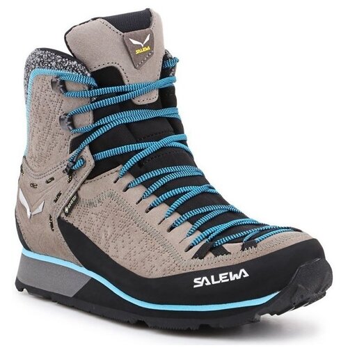 Salewa WS Mtn Trainer 2 Winter Gtx Bež Cijene